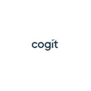 Informacja zarządcza co to jest - BI business intelligence - Cogit